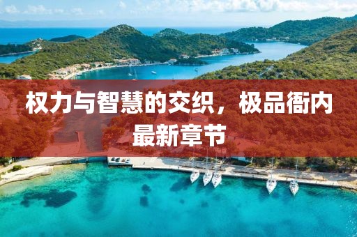 權力與智慧的交織,極品衙內最新章節