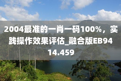 2004最準的一肖一碼100%,實踐操作效果評估_融合版EB9414.459