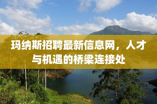 瑪納斯招聘最新信息網，人才與機遇的橋梁連接處