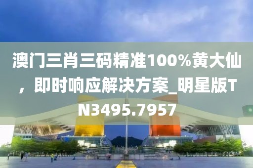 澳門三肖三碼精準100%黃大仙,即時響應解決方案_明星版TN3495.7957