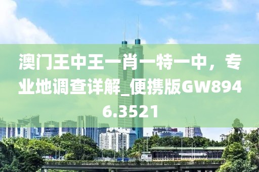 澳門王中王一肖一特一中,專業(yè)地調(diào)查詳解_便攜版GW8946.3521
