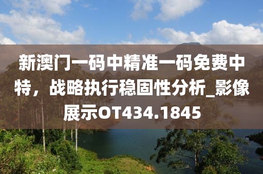 新澳門一碼中精準一碼免費中特，戰略執行穩固性分析_影像展示OT434.1845