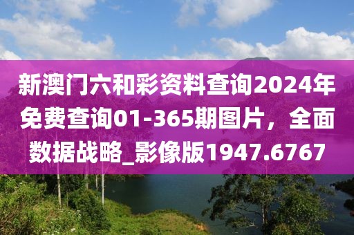 新澳門六和彩資料查詢2024年免費(fèi)查詢01-365期圖片，全面數(shù)據(jù)戰(zhàn)略_影像版1947.6767