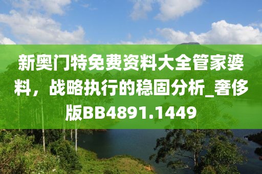 新奧門特免費資料大全管家婆料,戰略執行的穩固分析_奢侈版BB4891.1449