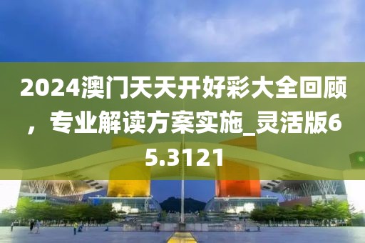 2024澳門天天開好彩大全回顧,專業解讀方案實施_靈活版65.3121
