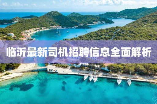 臨沂最新司機招聘信息全面解析