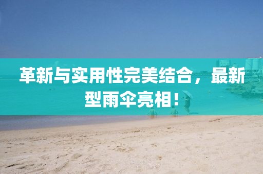 革新與實用性完美結合,最新型雨傘亮相!