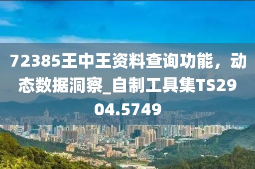 72385王中王資料查詢功能，動態數據洞察_自制工具集TS2904.5749