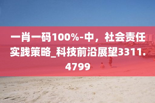 一肖一碼100%-中,社會責任實踐策略_科技前沿展望3311.4799