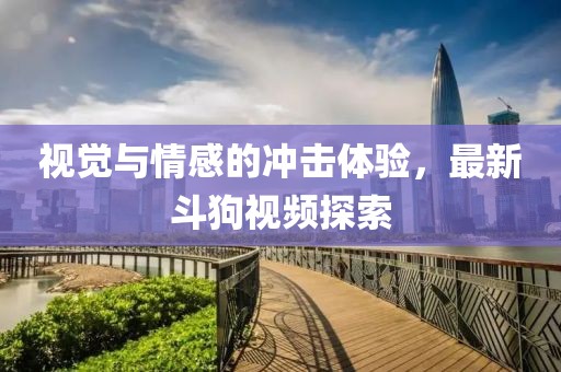 視覺與情感的沖擊體驗(yàn),最新斗狗視頻探索