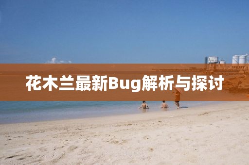 花木蘭最新Bug解析與探討