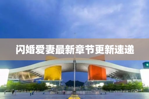 閃婚愛(ài)妻最新章節(jié)更新速遞