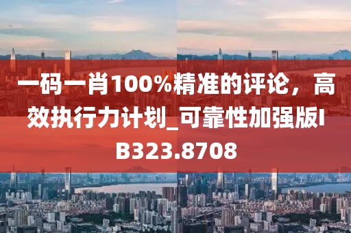 一碼一肖100%精準的評論，高效執(zhí)行力計劃_可靠性加強版IB323.8708