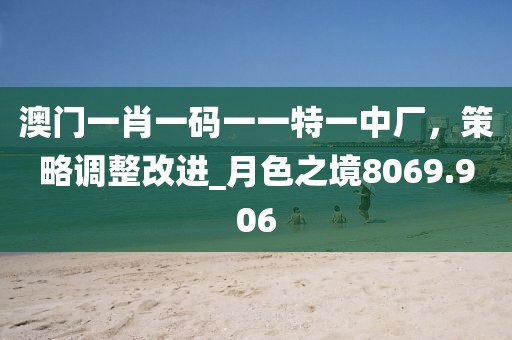 澳門一肖一碼一一特一中廠,策略調(diào)整改進(jìn)_月色之境8069.906
