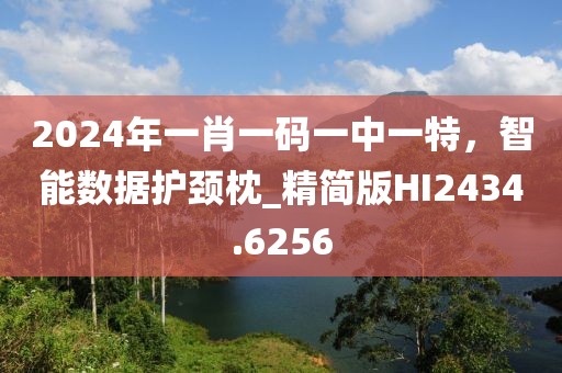 2024年一肖一碼一中一特,智能數據護頸枕_精簡版HI2434.6256