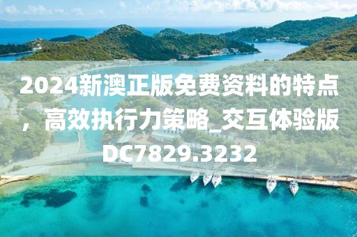 2024新澳正版免費資料的特點,高效執行力策略_交互體驗版DC7829.3232