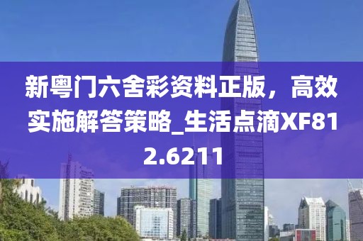 新粵門六舍彩資料正版，高效實施解答策略_生活點滴XF812.6211