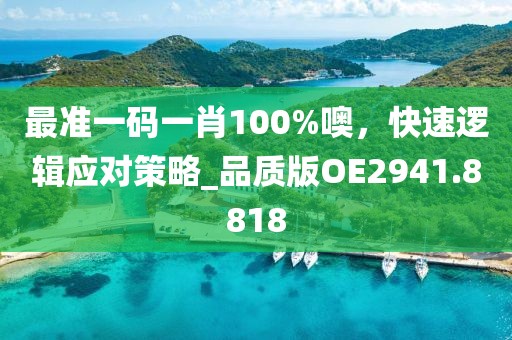 最準(zhǔn)一碼一肖100%噢,快速邏輯應(yīng)對策略_品質(zhì)版OE2941.8818