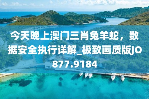 今天晚上澳門三肖兔羊蛇,數據安全執行詳解_極致畫質版JO877.9184