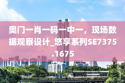 奧門一肖一碼一中一,現場數據觀察設計_悠享系列SE7375.1675