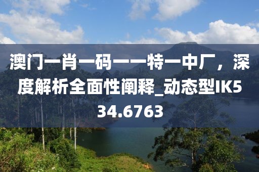 澳門一肖一碼一一特一中廠,深度解析全面性闡釋_動態(tài)型IK534.6763