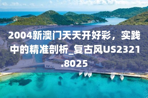 2004新澳門天天開好彩，實踐中的精準剖析_復古風US2321.8025