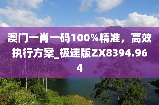 澳門一肖一碼100%精準,高效執行方案_極速版ZX8394.964