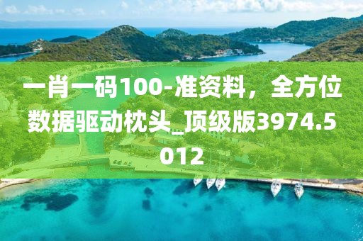 一肖一碼100-準資料，全方位數據驅動枕頭_頂級版3974.5012