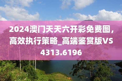 2024澳門天天六開彩免費圖，高效執行策略_高端鑒賞版VS4313.6196