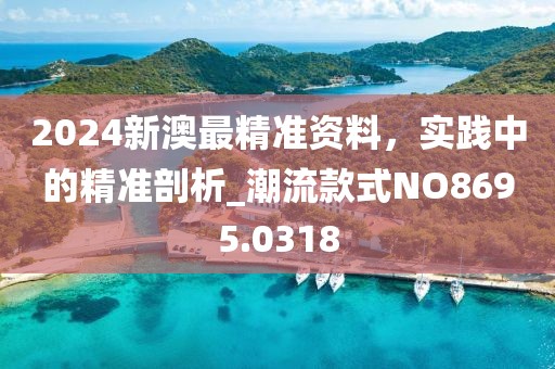 2024新澳最精準資料，實踐中的精準剖析_潮流款式NO8695.0318