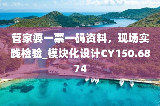 管家婆一票一碼資料,現場實踐檢驗_模塊化設計CY150.6874