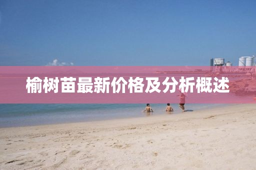 榆樹苗最新價格及分析概述