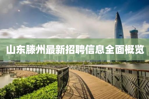 山東滕州最新招聘信息全面概覽