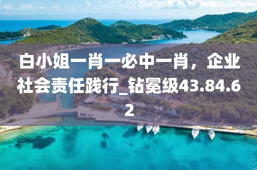 白小姐一肖一必中一肖，企業社會責任踐行_鉆冕級43.84.62