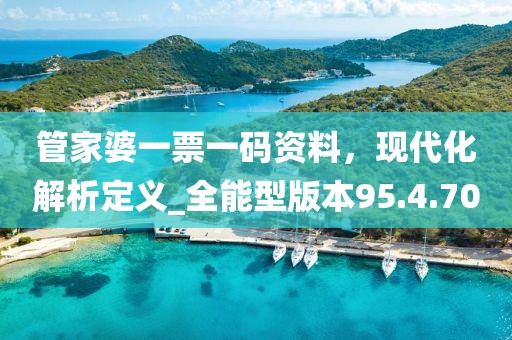 管家婆一票一碼資料,現(xiàn)代化解析定義_全能型版本95.4.70