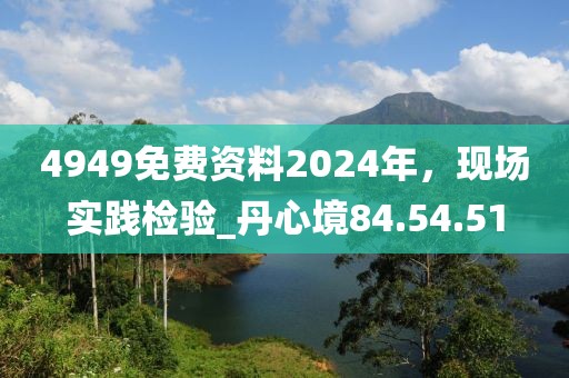 4949免費資料2024年,現場實踐檢驗_丹心境84.54.51