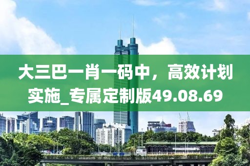 大三巴一肖一碼中,高效計(jì)劃實(shí)施_專屬定制版49.08.69