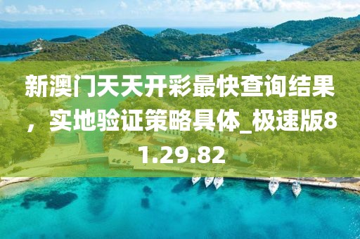 新澳門天天開彩最快查詢結(jié)果,實(shí)地驗(yàn)證策略具體_極速版81.29.82