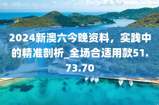 2024新澳六今晚資料,實踐中的精準剖析_全場合適用款51.73.70