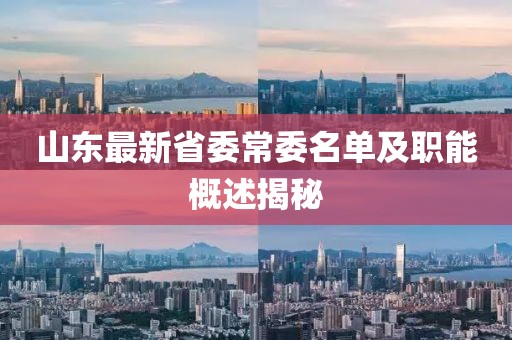 山東最新省委常委名單及職能概述揭秘