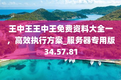 王中王王中王免費資料大全一,高效執(zhí)行方案_服務器專用版34.57.81
