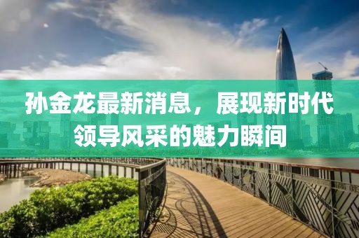孫金龍最新消息,展現新時代領導風采的魅力瞬間