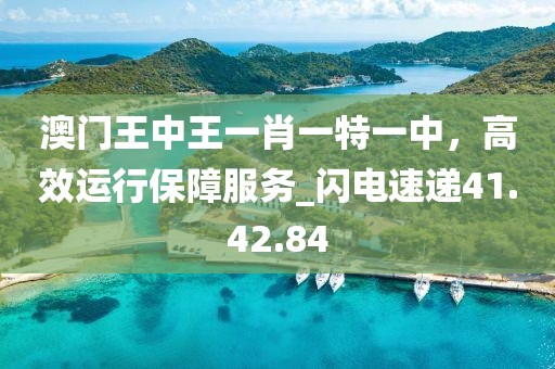 澳門王中王一肖一特一中,高效運行保障服務_閃電速遞41.42.84