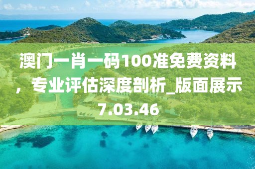 澳門一肖一碼100準免費資料，專業評估深度剖析_版面展示7.03.46