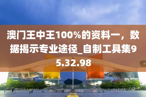 澳門王中王100%的資料一,數(shù)據(jù)揭示專業(yè)途徑_自制工具集95.32.98