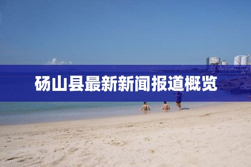碭山縣最新新聞報道概覽