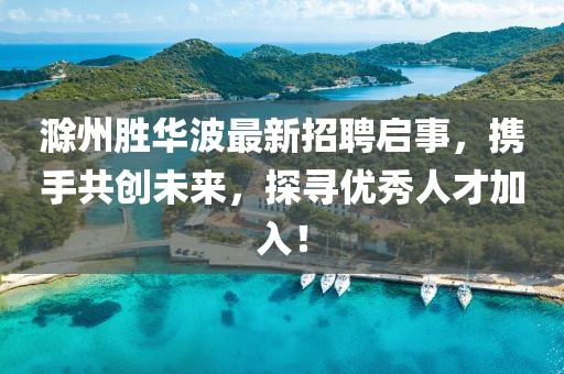 滁州勝華波最新招聘啟事,攜手共創未來,探尋優秀人才加入!