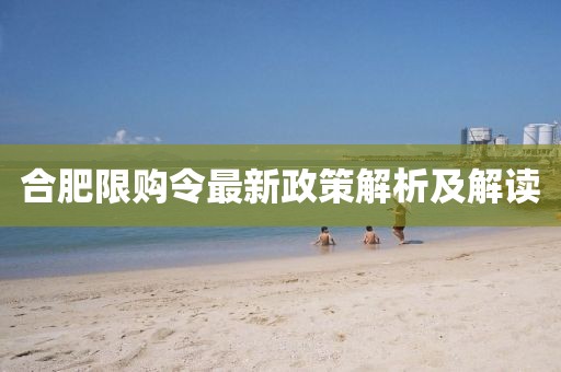 合肥限購令最新政策解析及解讀