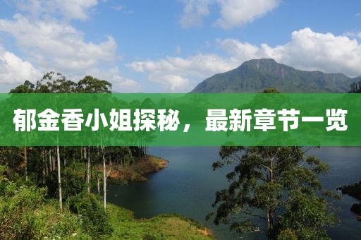 2024年11月 第20頁