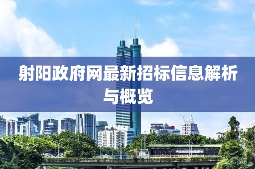 射陽政府網(wǎng)最新招標信息解析與概覽